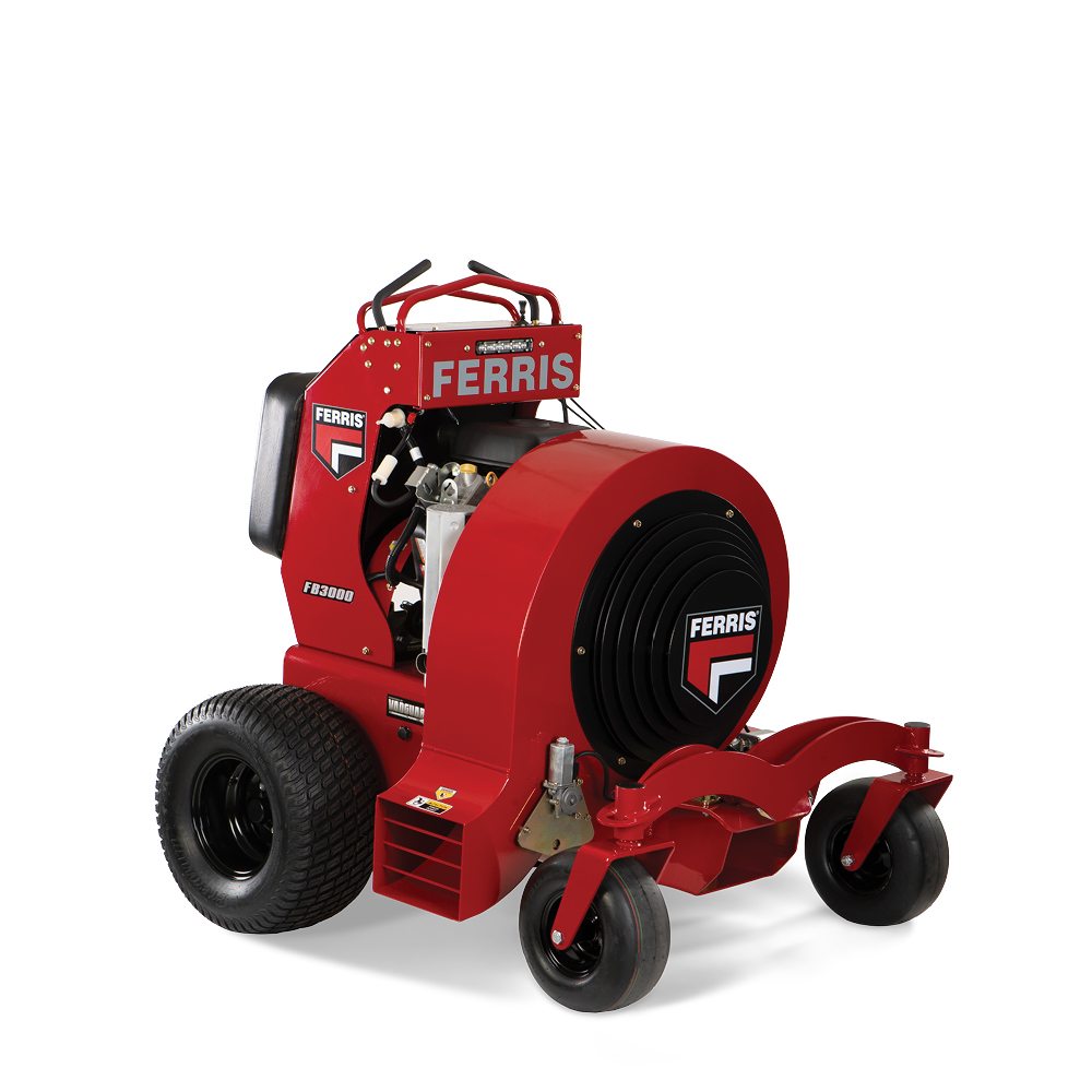 Briggs and deals stratton ferris